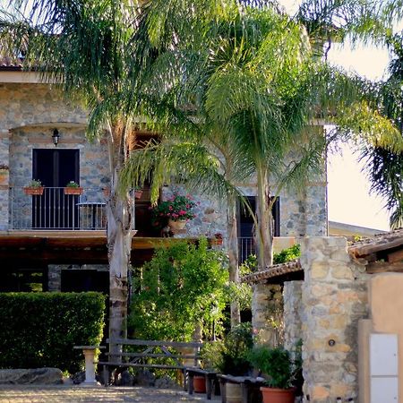 Villa Basilio Accommodation Ricadi Exterior foto